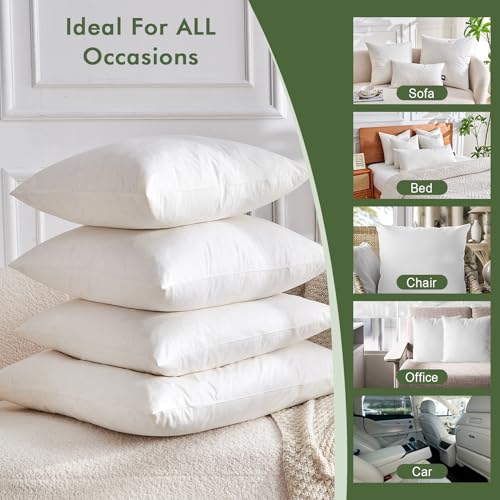 TOPGREEN 12x20 Organic Feather Down Lumbar Pillow Inserts - Pack of 2