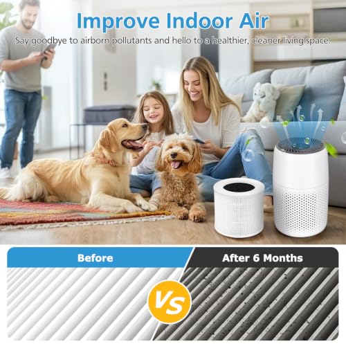 2 Pack Mini Replacement Air Purifier Filters 5.7" x 4.8"