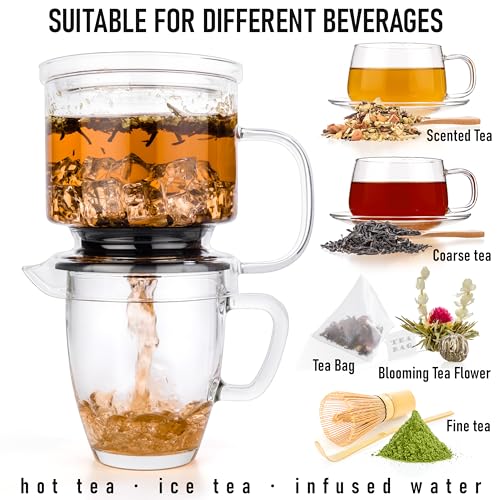 Dokaworld Transparent Glass Tea Infuser 17oz with Lid – Loose Leaf Brewer
