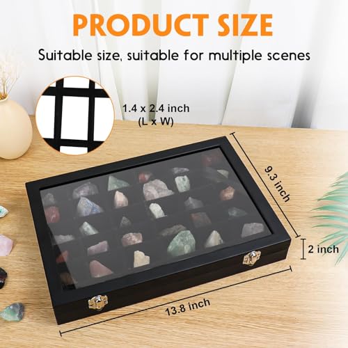 Rock Collection Display Case with 36 Adjustable Grids and Transparent Lid