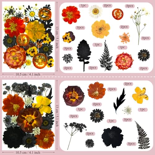 92 Pcs Natural Dried Pressed Flowers and Leaves for Resin Art and Crafts