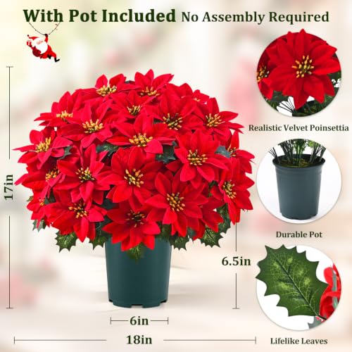 Martine Mall Red Potted Poinsettias (2-pack), UV-Resistant Outdoor Christmas Flowers