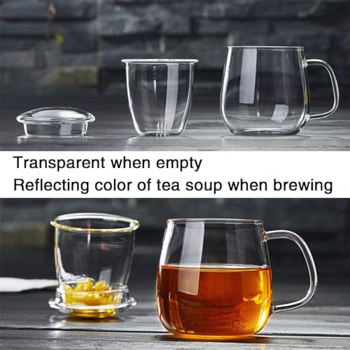 DOPUDO Glass Tea Cup with Infuser & Lid 17.6oz - Borosilicate Mug for Loose Leaf Tea, Microwave & Dishwasher Safe