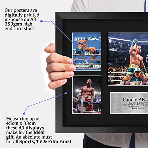 Canelo Alvarez Framed Boxing Photo Display 16 x 12 Inch Memorabilia