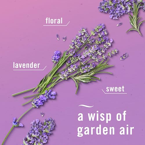 Scented Oil Plug-In Air Freshener Refills, Twilight Lavender - 3 Pack