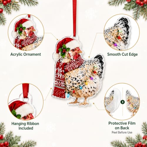 Funny Chicken Christmas Ornaments - Farmhouse Holiday Tree Decorations (Set of 5)