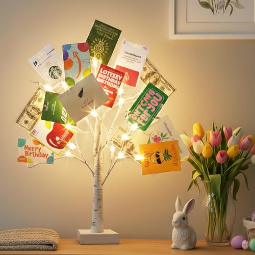 Lighted Birch Money Tree Gift Holder with Clips & Cards - 2FT
