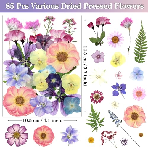 85 Pcs Natural Dried Pressed Flowers Set with Tweezer for Resin Crafts & DIY