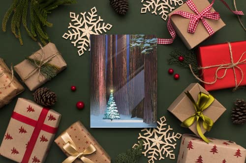 Christmas Greeting Cards Forest Scene with Holiday Message, 18-Pack