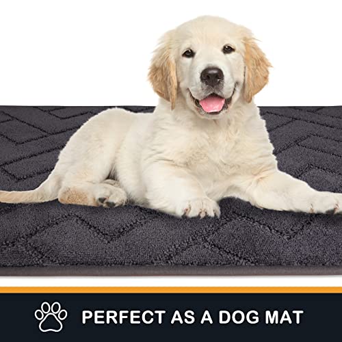 Indoor Dirt Trapping Door Mat - Non-Slip Washable Entryway Rug (20" x 31.5")