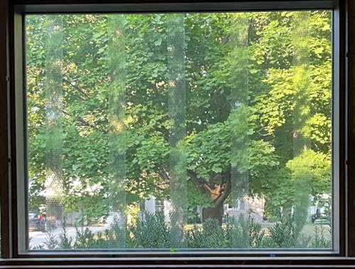 Clear Bird Tape for Windows - Prevent Bird Strikes (3/4" x 20')