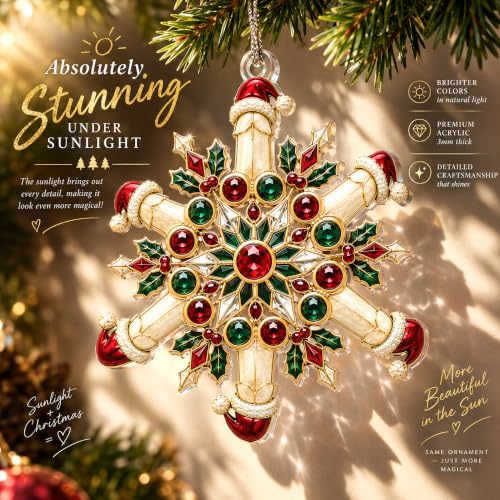Xmasfun 04 Naughty Christmas Ornaments – Funny Holiday Decor for Adults