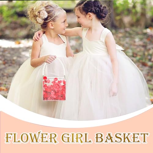 Clear Acrylic Flower Girl Basket for Weddings, 5.3-Inch DIY Petal Holder