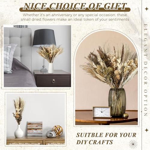 4-Pack Large Boho Dried Flower Bouquets, 15-17 Inch Natural Floral Decor