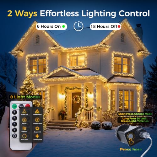 WEGRASY 33ft 300 LED Christmas Fairy String Lights, Plug-in, 8 Modes, Warm White with Green Wire