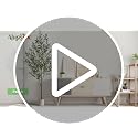 6FT Faux Olive Tree with Fruits - Lifelike Indoor Home Decor