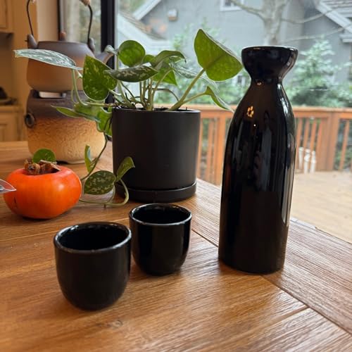 Set of 12 Japanese Porcelain Sake Cups - Small Tea & Sake Cups, Microwave & Dishwasher Safe