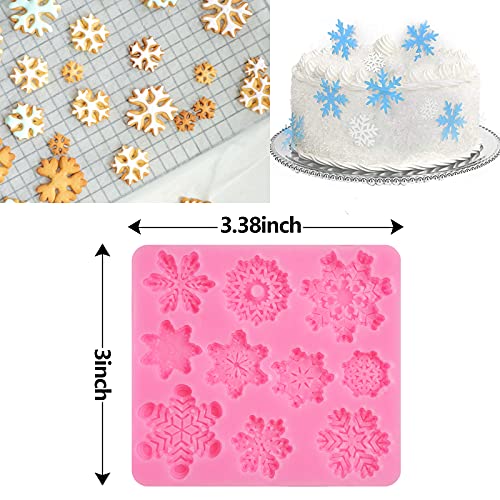 Rainmae Christmas 6 Pcs Snowflake Cake Mold Set - 3D Fondant & Chocolate Decorations, Winter Frozen Party Supplies, Variation 1