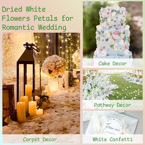 3000+ Real Dried Hydrangea Flower Petals, Ivory White Wedding Confetti