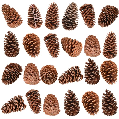 Huwena 24 Pcs Large Natural Pine Cones 5-6 Inches for Holiday Decor, Unscented