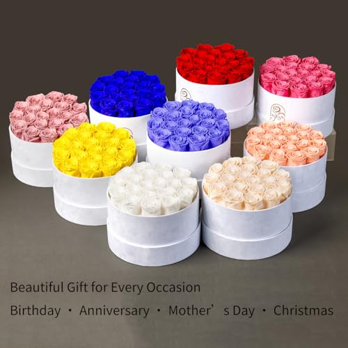 20 Preserved Real Roses in Luxury Velvet Gift Box - Long Lasting Flowers