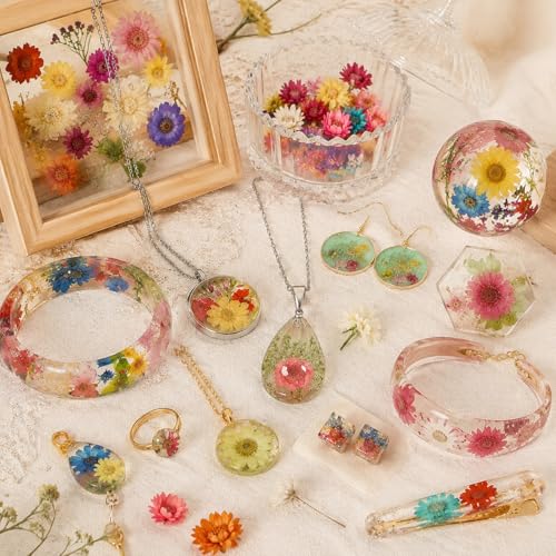 520 Pcs Mini Dried Flowers for Resin Crafts, Jewelry & Soap Making