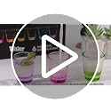 Colorful 6 Pack Shot Glass Set 1.5 oz Heavy Base for Vodka Whiskey Tequila