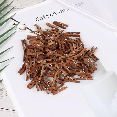 100 Pcs Mini Wooden Clothespins, 1-Inch Small Craft Clips for Photo Displays