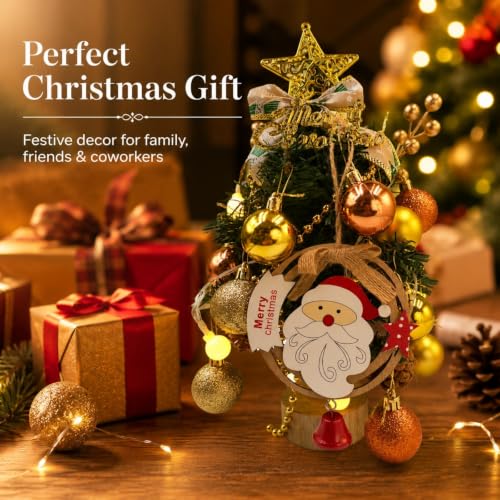 AethelFlora 13-Inch Lighted Christmas Tabletop Tree with 20-Piece Decor Set