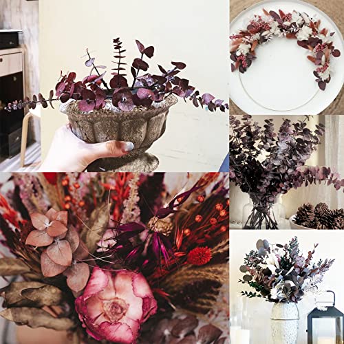 16 Pcs Preserved Red Eucalyptus Stems 17-Inch Real Dried Floral Branches
