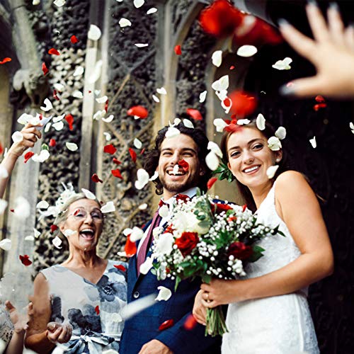 1000 Pcs Ivory Artificial Silk Rose Petals for Weddings & Parties
