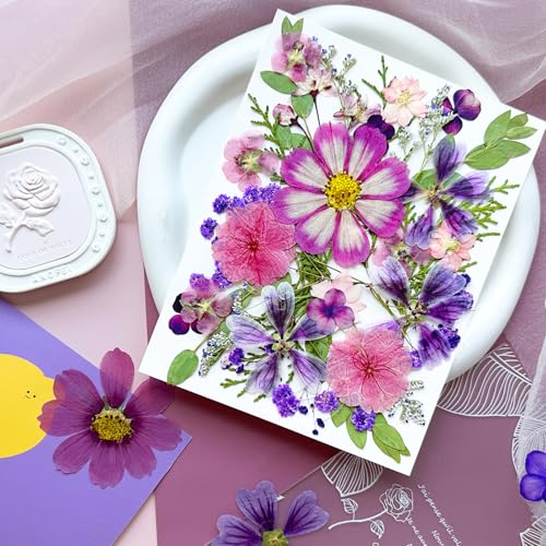 35 Pcs Real Purple Pressed Dried Flowers & Leaves for DIY Resin Crafts