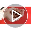 150 Pcs Mini Natural Pine Cones (0.78") for DIY Crafts & Holiday Decor