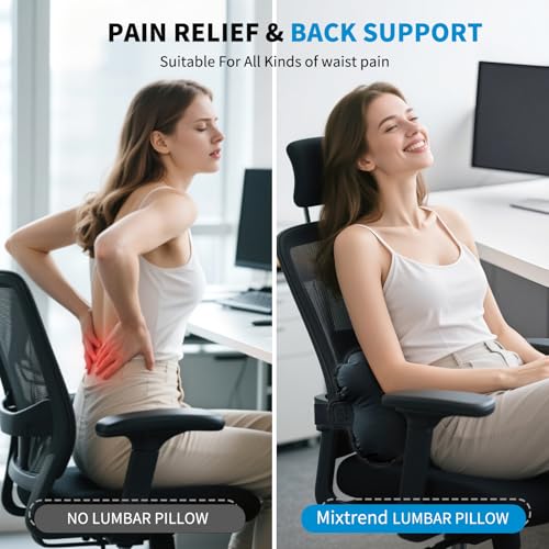 Inflatable Memory Foam Lumbar Pillow for Travel & Back Support