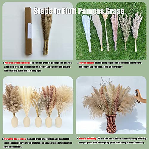 100 Pcs Natural Dried Pampas Grass & Bunny Tails Set - 17 Inch Boho Decor