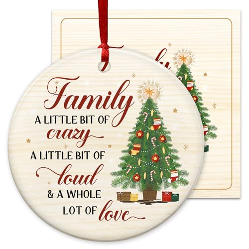 Funny Family Christmas Ornament 2026 - Ceramic Holiday Keepsake Gift