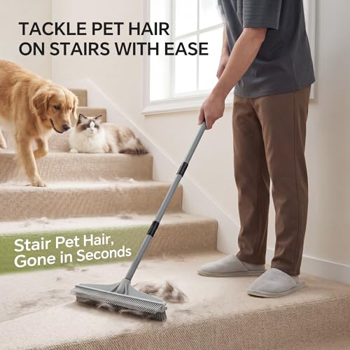 2-in-1 Carpet Rake & Pet Hair Removal Broom with Adjustable Handle