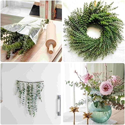Preserved Natural Dried Eucalyptus Stems for Shower - 10 Pack (17 Inch)