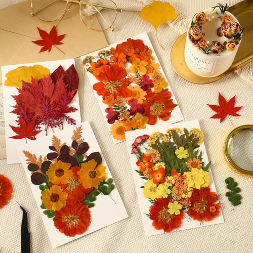 Real Dried Pressed Flowers & Leaves for DIY Resin Crafts - 100 Pcs Set