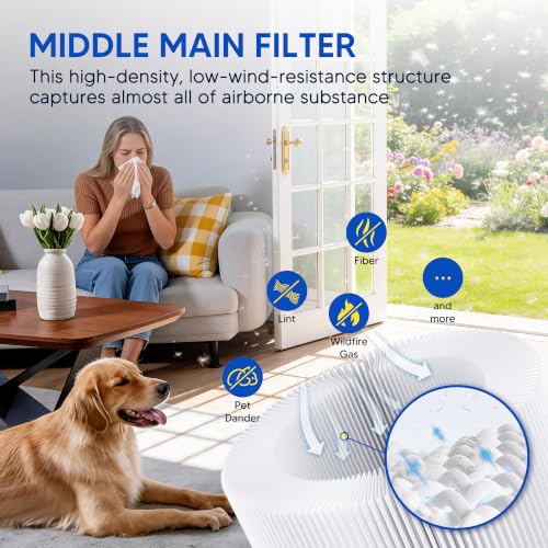 Air Purifier Replacement Filter 2 Pack with Activated Carbon