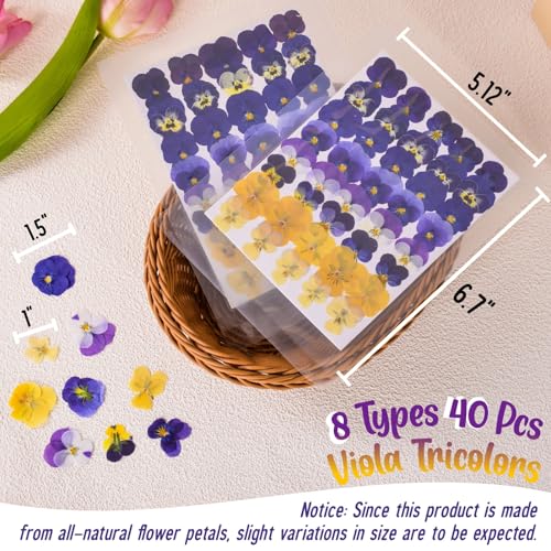 Natural Dried Pressed Edible Flowers for Cake Toppers & DIY Crafts, 40 Pcs