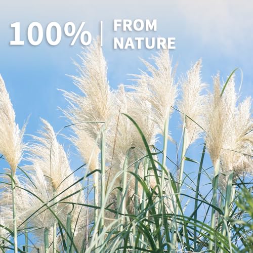 17-Inch Dried Pampas Grass Bouquet - 100pc Boho Floral Decor Set