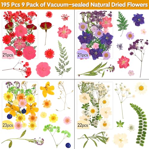 235 Pcs Pressed Dried Flowers and Resin Butterfly Stickers Set for Crafts