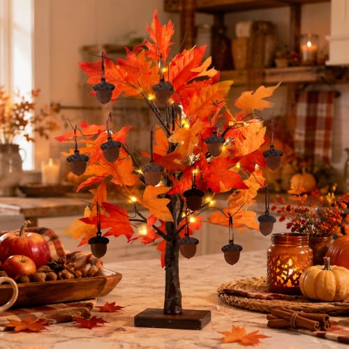 24 Inch Lighted Fall Maple Tree with 24 LEDs & 12 Wood Acorn Ornaments