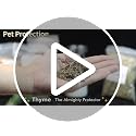 32-Pack Dried Herbs and Flowers for Witchcraft, Spell Jars, and DIY Crafts