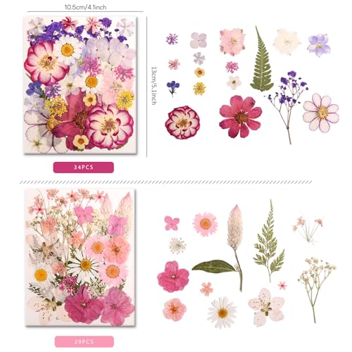 182 PCS Real Pressed Dried Flowers and Leaves Set with Tweezers for DIY Crafts