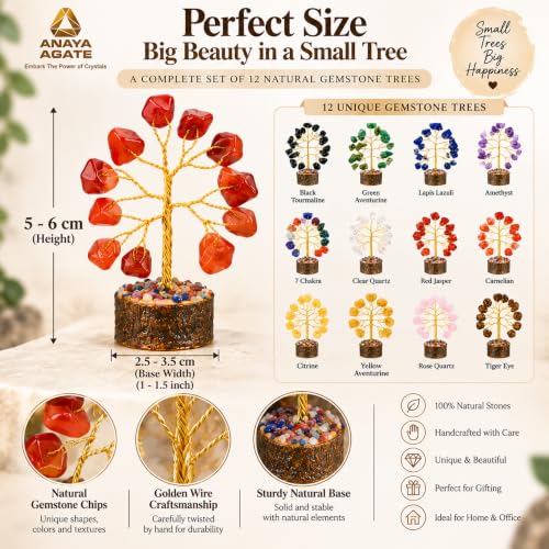 Gemstone Tree Set of 12 - ANAYA AGATE Mini Crystal Bonsai Gift Set for Chakra Healing