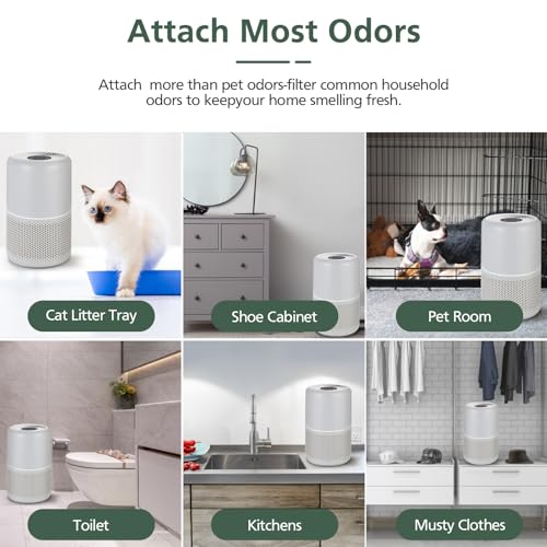 3-Stage Pet Care Replacement Air Filter with Activated Carbon 2 Pack