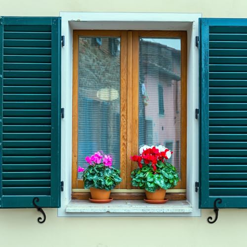 6.5-Inch Iron Shutter Dogs, S-Shaped Exterior Shutter Tiebacks, 6 Pack