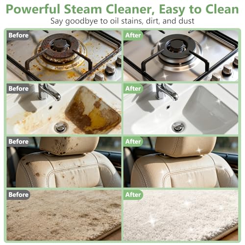 WSRYYCC Portable Handheld Steam Cleaner with 16 Accessories, 6-Level Adjustable
